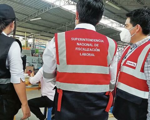 More than 330,000 workers entered the payroll until November: these are the sectors with the highest formalization