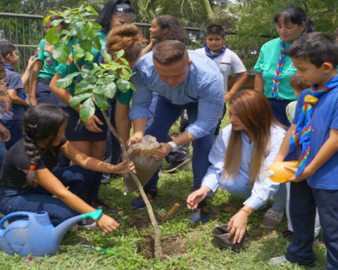 Alcaldía de Naguanagua inicia plan de reforestación en plazas y avenidas