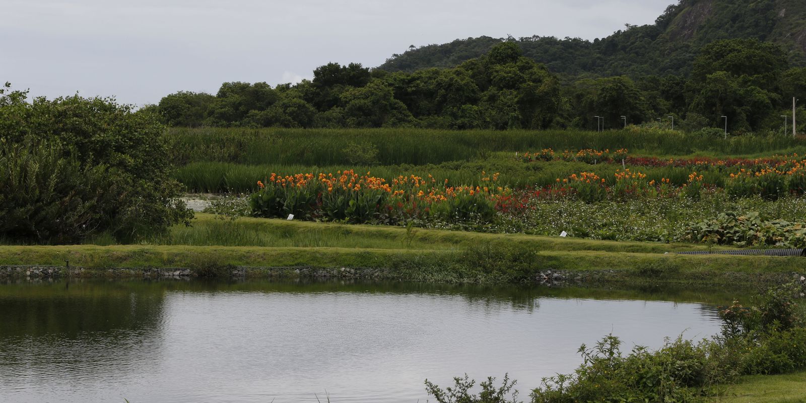 New park in Niterói seeks to improve lagoon water and vegetation