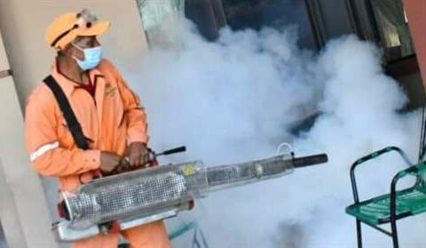 Nine districts in Santa Cruz are in an emergency due to possible infections of dengue, zika and chikungunya