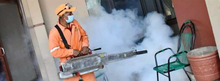 Nine districts in Santa Cruz are in an emergency due to possible infections of dengue, zika and chikungunya