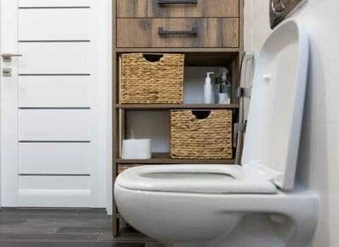 Only 21.7% of toilets connected to public sewer