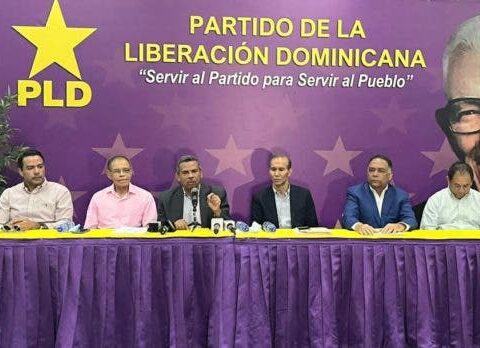PLD dice consenso y armonía predominan en elecciones internas