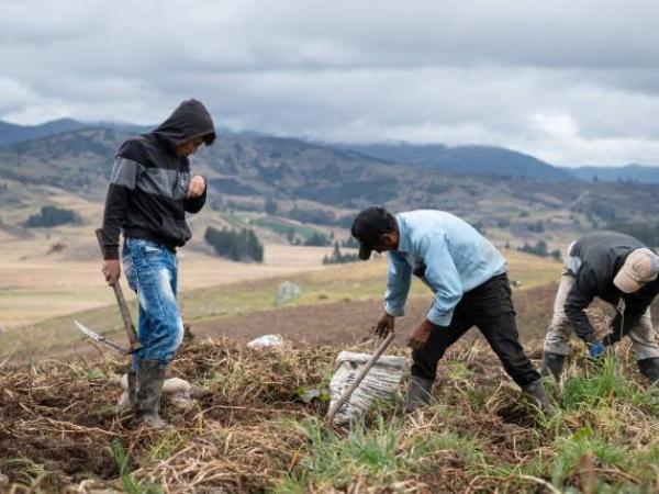 Peasants, close to being recognized as special subjects of protection