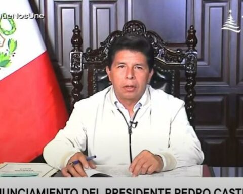 Pedro Castillo after statements by the former head of the DINI: "I am paying for mistakes due to my inexperience"
