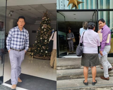 Pedro Castillo: relatives of the former president met with the IACHR delegation