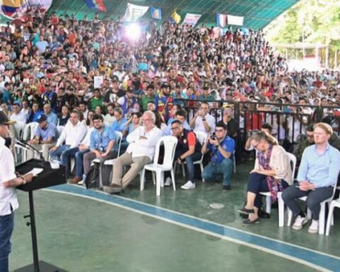 Petro proposes to maintain coca crops and advance in substitution