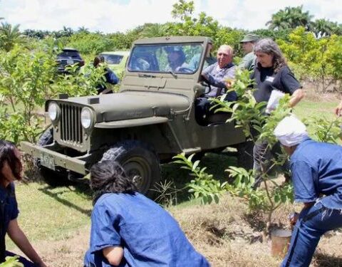 Mujeres, presas políticas cubanas
