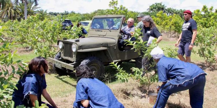 Mujeres, presas políticas cubanas