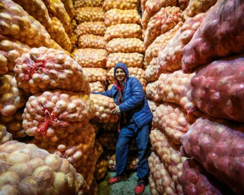 Potato and onion prices will rise, according to Corabastos