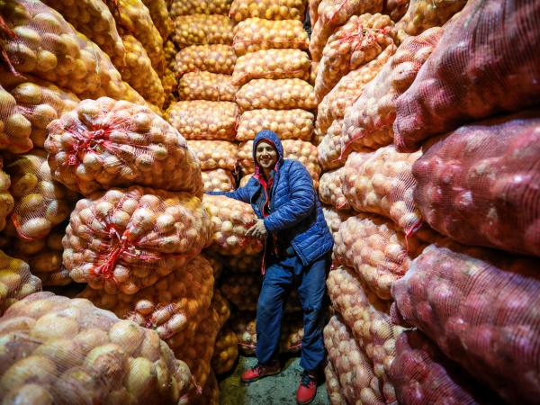 Potato and onion prices will rise, according to Corabastos