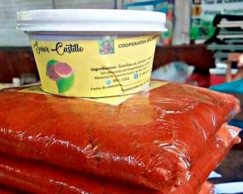 Producers from Río San Juan seek certification to export annatto