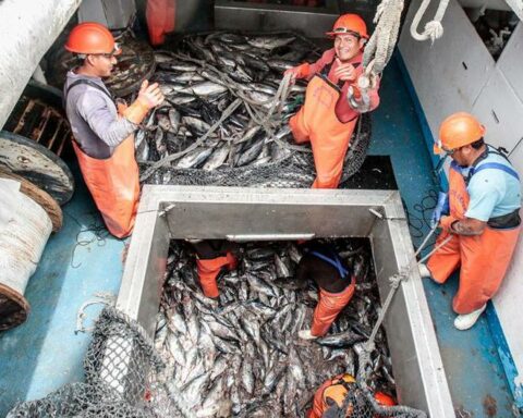 Produces approves certification formats for the export of hydrobiological resources to Japan