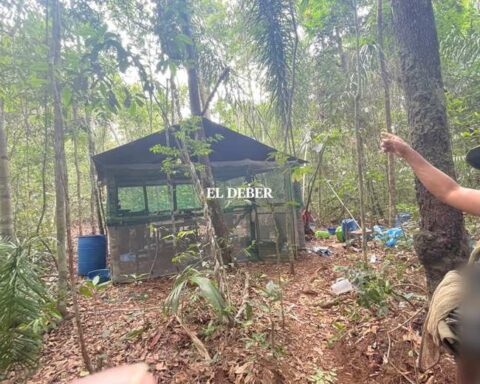 Prosecutor's Office found the initials 'Farc' written in the camp of alleged drug traffickers in the Noel Kempff Mercado