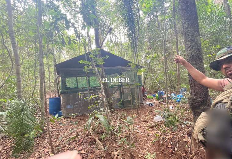 Prosecutor's Office found the initials 'Farc' written in the camp of alleged drug traffickers in the Noel Kempff Mercado