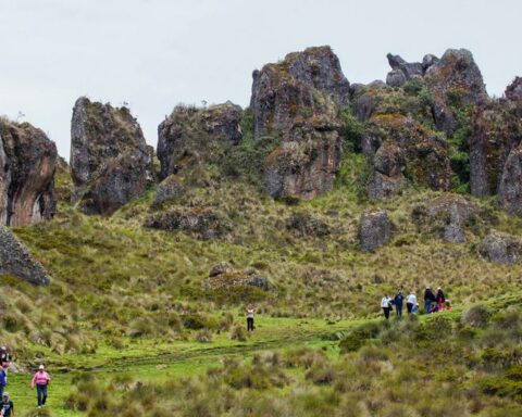 Questions and answers about the upcoming long holiday in December