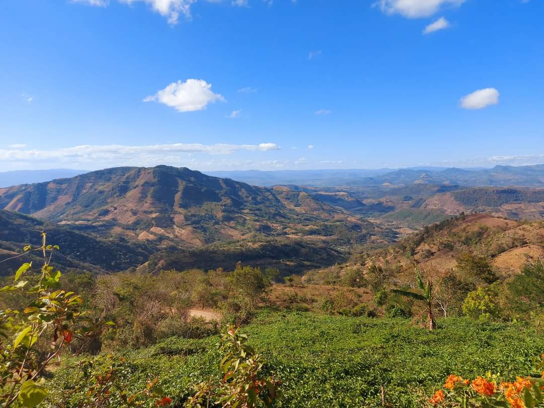 Sandinista government grants mining concession to Desminic company in more than 4 thousand hectares in Matagalpa