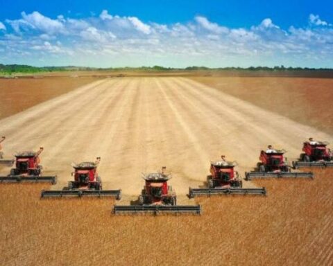 Seal agricultural alliance between Colombia and Venezuela