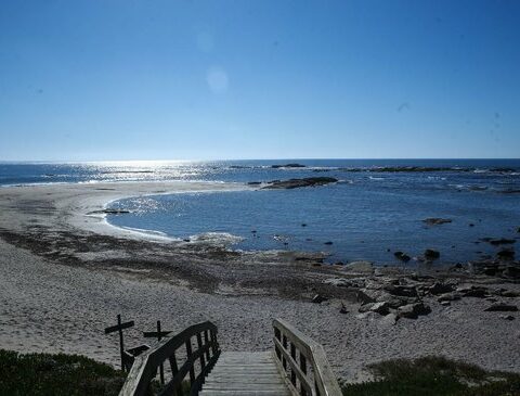 Summer 2023: the favorite vacation spots in Maldonado, according to user preferences