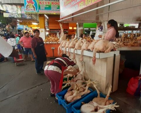 Tacna: They auctioned turkey for up to 11 soles due to low demand in markets