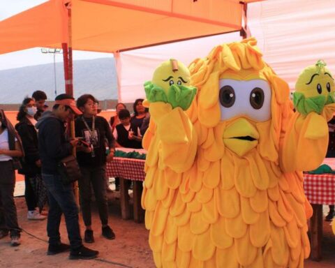 Tacna: They organize a singular agronavideña fair to celebrate the holidays