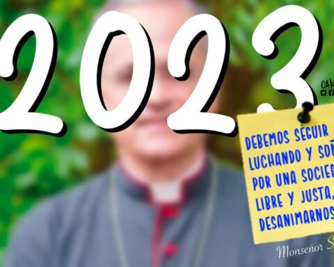 The Cartoon: Year to keep fighting