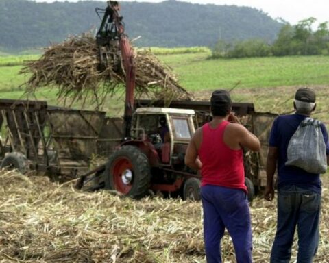 The Cuban Government recognizes limitations in the measures to revive the sugar industry