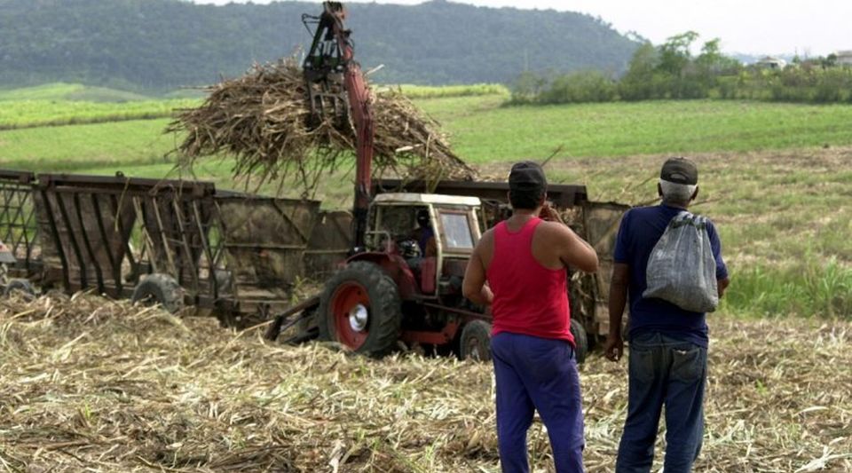 The Cuban Government recognizes limitations in the measures to revive the sugar industry