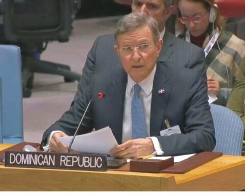 The Dominican Republic demands before the UN the sending of a force to support Haiti