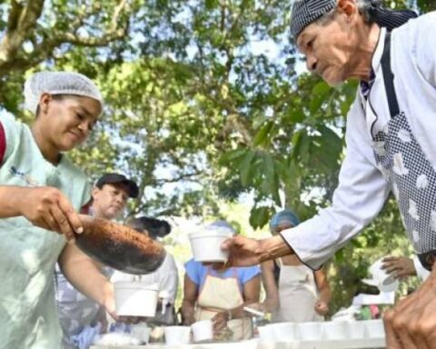 The Government's plan to fight hunger from crops