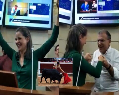 The Senate approved the ban on bullfighting in Colombia, this is how its speakers celebrated the victory