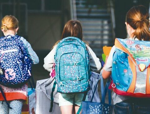 The agony of private schools and kindergartens in a country without children: why is it?