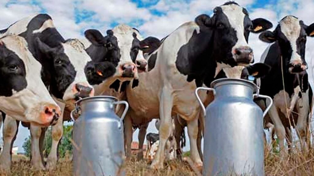 The dairy sector sent a letter to the Secretary of Agriculture Bahillo