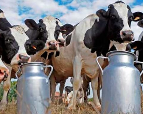 The dairy sector sent a letter to the Secretary of Agriculture Bahillo