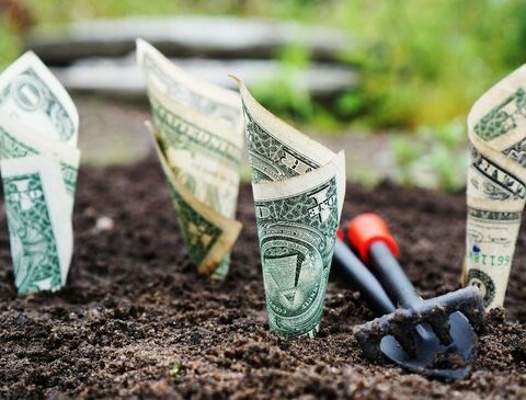 The dollar weakens against the Uruguayan peso, how strange, right?