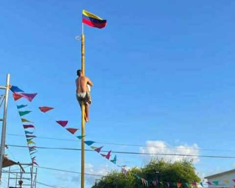 The “ensebao stick”, 175 years of Zulia tradition that is strengthened with each generation