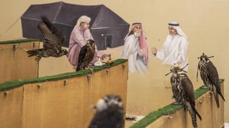 The falcons, an ancestral Qatari cultural legacy
