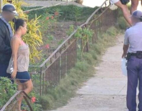 bebé, Mulgoba, Habana