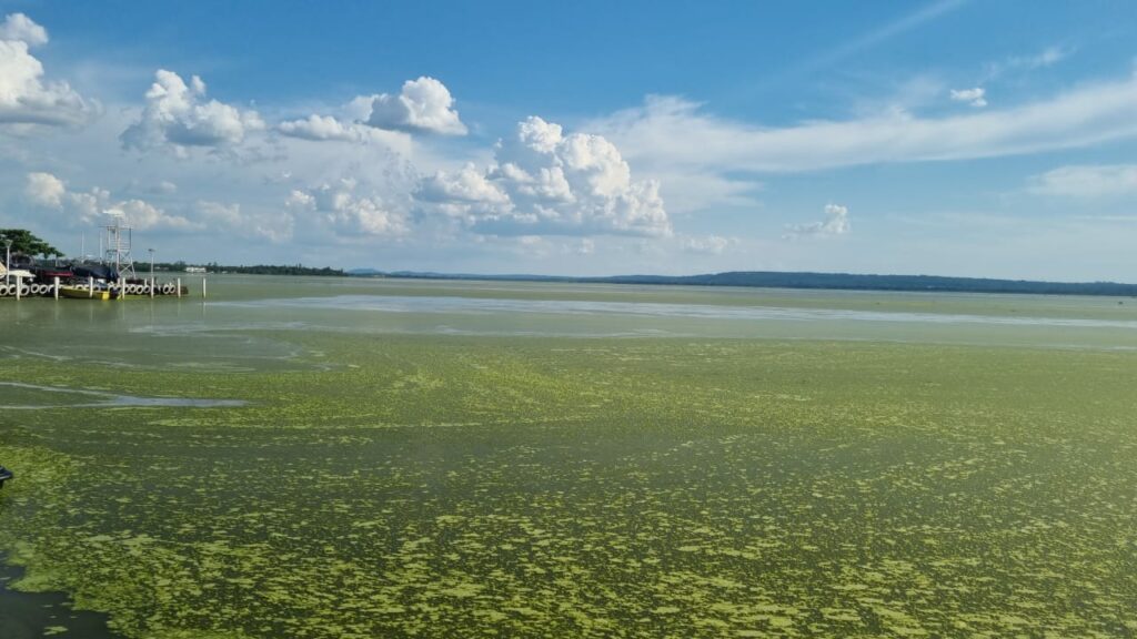 The no longer so blue lake of Ypacaraí is in the news again