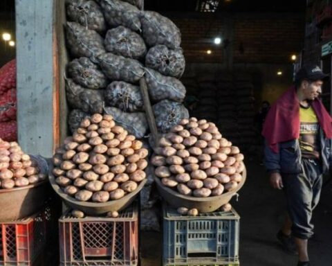 The potato, one of the most expensive foods in the family basket