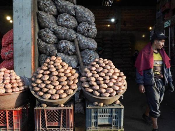 The potato, one of the most expensive foods in the family basket