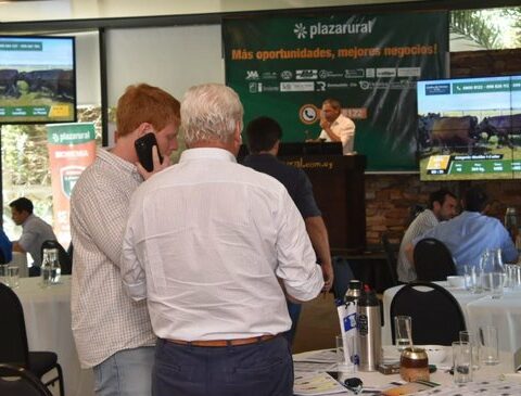 The president of Plaza Rural and the meat chain: "We are maturing"