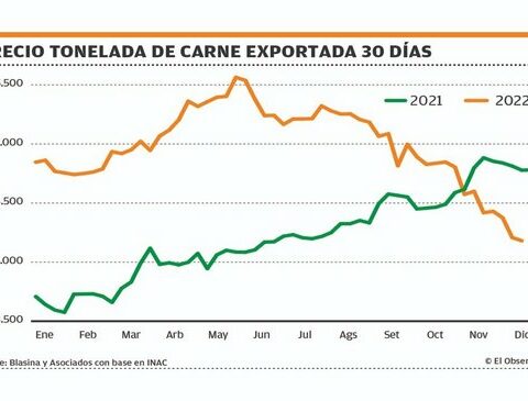 The price of cattle continues to fall and the fat one at most achieves US$ 3.30 per kilo