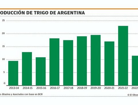 The price of wheat stopped its fall and in soybeans the rise was paused