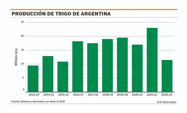 The price of wheat stopped its fall and in soybeans the rise was paused