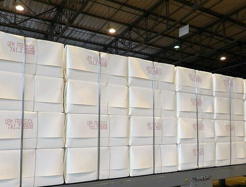 The sector that grew 13% and is emerging as the great engine of income