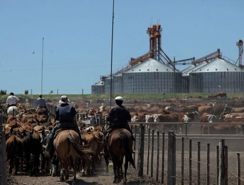 The year closes with US$ 41 million more in taxes collected by agriculture