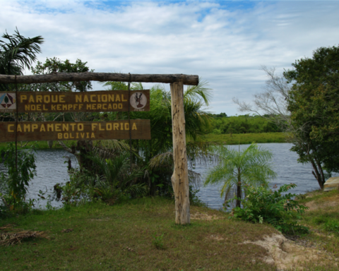 They claim the Government for abandonment of protected areas "taken" for drug trafficking