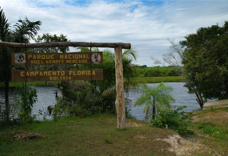 They claim the Government for abandonment of protected areas "taken" for drug trafficking