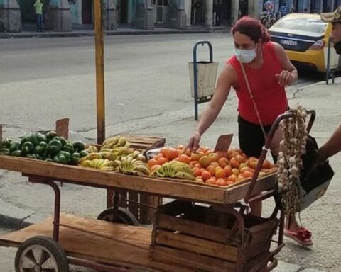 They control the price of tomatoes at 25 pesos per pound in Cienfuegos